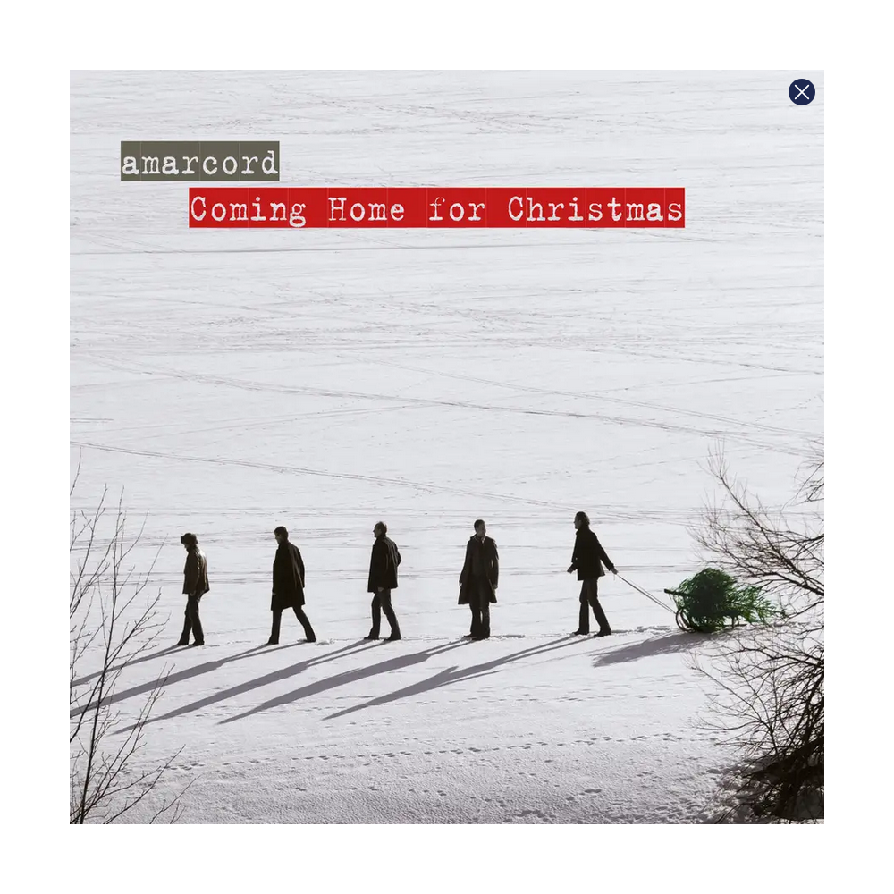 Coming Home for Christmas